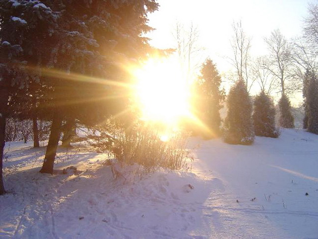 Даже в зимний морозный день Солнце отдает свою энергию.