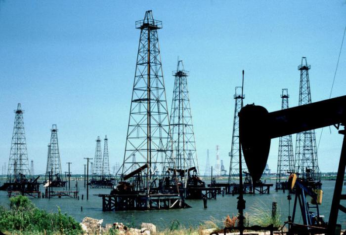 полезные ископаемые нефть газ 