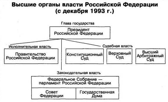 схема дерева власти 