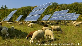 Солнечные батареи и овцы в Баварии
