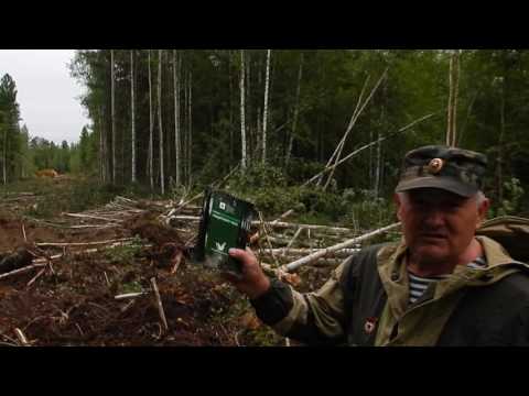 Закапывание спиленного леса при разрубке просеки