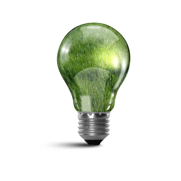 Экология лампы свет — стоковое фото